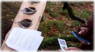 Person im Wald scannt QR-Code, um Fragen auf Arbeitsblatt zu beantworten 