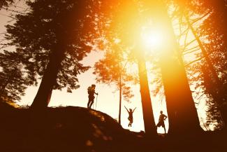 Silhouettes of 3 people hiking in sunlit forest