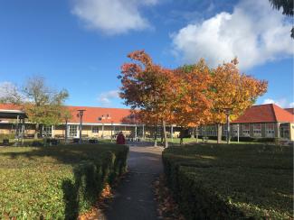 Bild des Gymnasiums von Virum (Dänemark) im Herbst mit Gründfläche und Bäumen