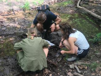 Drei Studierende mit Becherlupe im Wald, in der Hocke über eine Wasserstelle gebeugt..