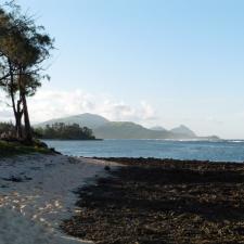 Strand und Berge in Ozeanien