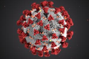 Bild Coronavirus | © CDC / Unsplash
