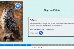 Screenshot der H5P-Unterrichtseinheit zum Thema „Informationen recherchieren und aufbereiten“