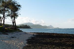 Strand und Berge in Ozeanien