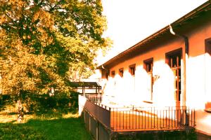 Foto der HSE-Terrasse im Abendlicht, links begrenzt von einem großen Baum. 