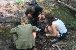 Drei Studierende mit Becherlupe im Wald, in der Hocke über eine Wasserstelle gebeugt..
