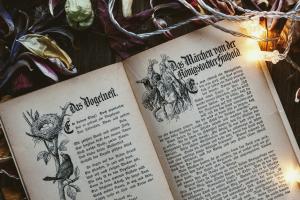 Ein Märchenbuch liegt aufgeschlagen auf dem mit Herbstlaub bedeckten Boden, angestrahlt von einer Lichterkette.