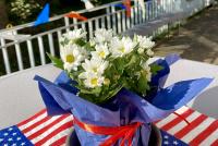 Eine blühende Topfpflanze ziert einen mit Star Spangled Banner dekorierten Tisch auf der HSE-Terrasse, im Hintergrund Bäume