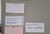 Eine Pinnwand mit beschrifteten bunten Karten zum Thema "Fit For Democracy"